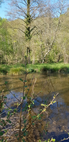 20190420_165210.jpg