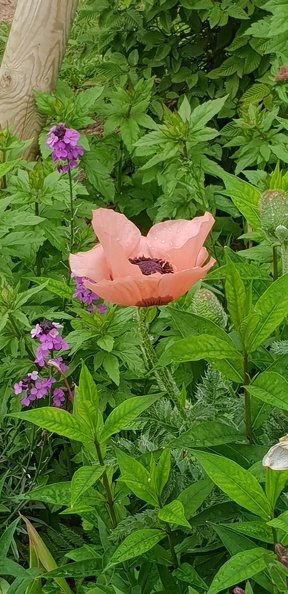 20190518_113858.jpg