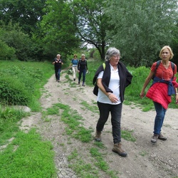 Yerres - Bois de la Grange (91)