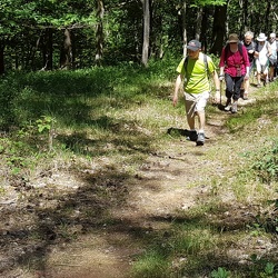 Milly-La-Forêt (91)