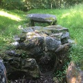 foretCarnelle3