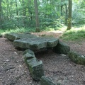 foretCarnelle5