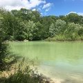 foretCarnelle6