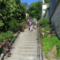 IMG 5906