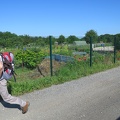 IMG 5910
