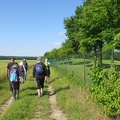 IMG 5911