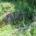 IMG 5916