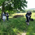 IMG 5919