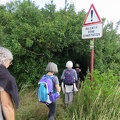 IMG 5921