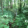 IMG 5928