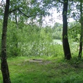 IMG 5959