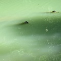 IMG 5963