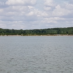 Forêt de Rambouillet - Les étangs