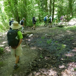 La Pointe de l'Armorique