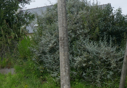 P1070894 - 