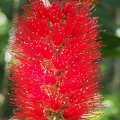 P7021615
