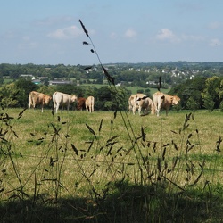 Circuit des chapelles