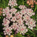 P7031639