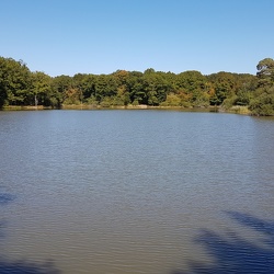 Forêt de Rambouillet