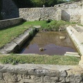 IMG 6325