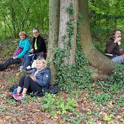 La forêt de Coye (60)