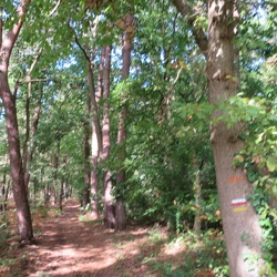 Montfort-sur-Risle (27)