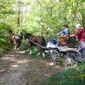 11 Belle rencontre en forêt de Fausses-Reposes (92)