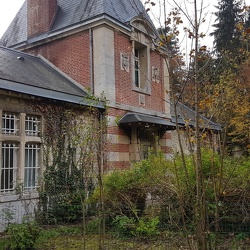 Saison 2019-2020