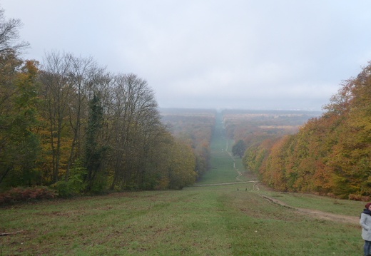 Rethondes : Forêt de Compiègne (60)