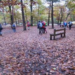 Bords de Seine - Forêt de Sénart (91)