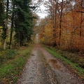 Couleurs d'automne en hiver 152139-001