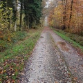 F d'Armainvilliers le 23 nov 2019 152148-001