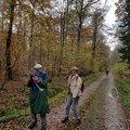 En forêt d'Armainvilliers (77) 152126-001