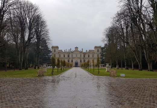 Forêt de Ferrières - Armainvilliers