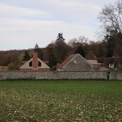 Sonchamp - Bois de Pinceloup (78)