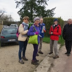 Sonchamp - Bois de Pinceloup (78)