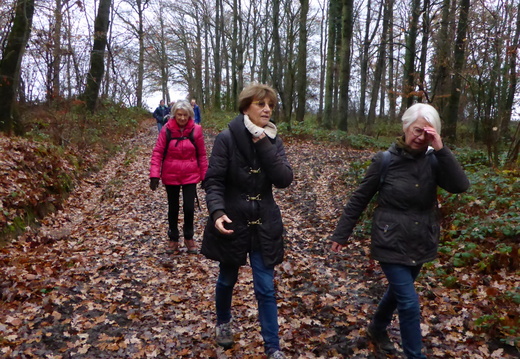 18 elles marchent dans les bois