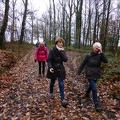18 elles marchent dans les bois