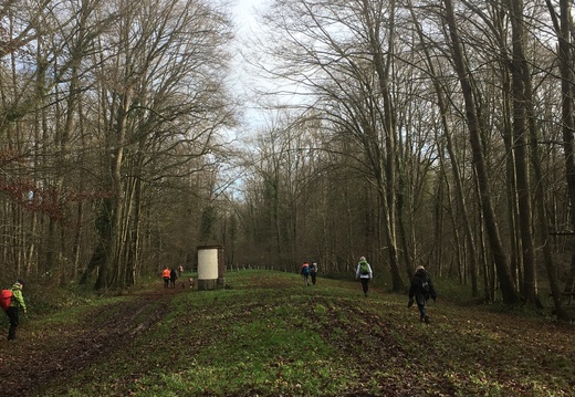 Garancières (78)