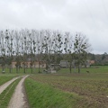 P1080646 - 