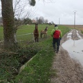 P1080647 - 