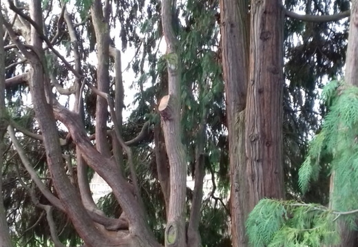 IMG-20200104-WA0006