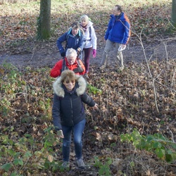 Forêt de Meudon (92)