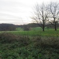 IMG 6949