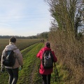 IMG 6956