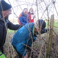IMG 6986