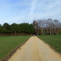 P1080551- à l'approche du bois de la Moinerie