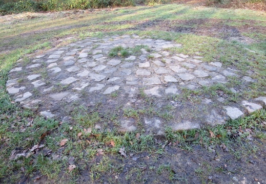 IMG 7010