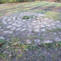 IMG 7010