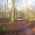 IMG 7012